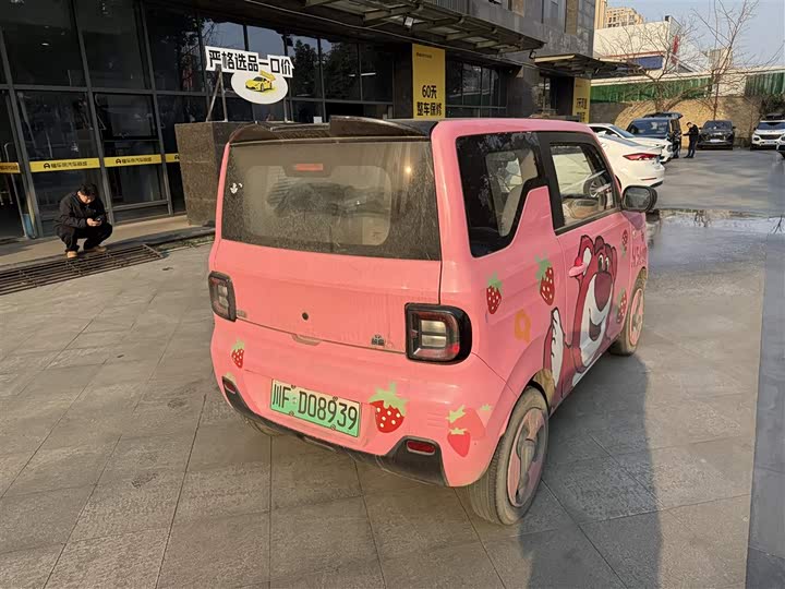 Фото 4 - Geely Galaxy Panda Mini