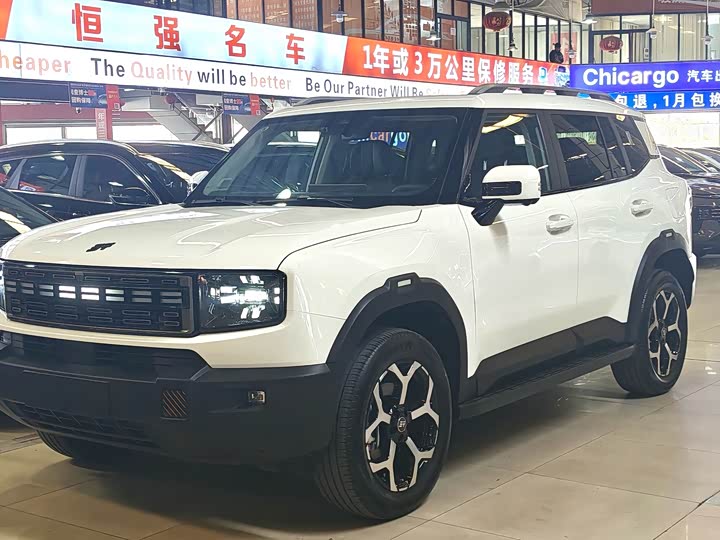 Фото 1 - Jetour Shanhai T1