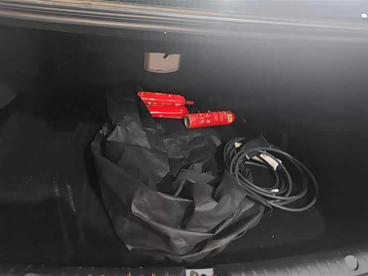 Фото 4 - BYD Han