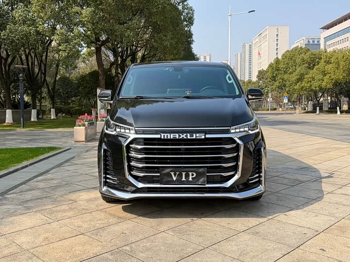 Фото 3 - Maxus G20