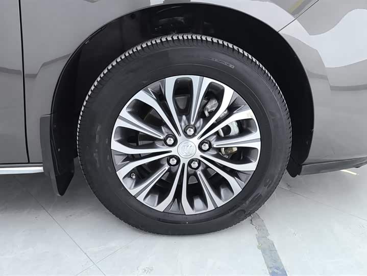 Фото 6 - Buick GL8 ES