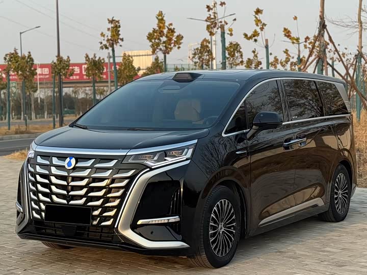 Фото 2 - Denza D9