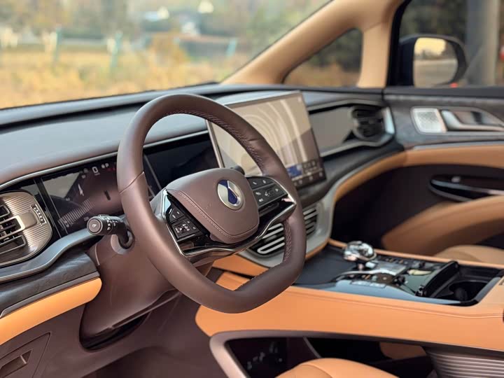 Фото 5 - Denza D9