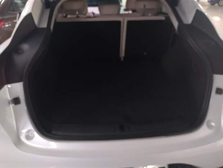 Фото 4 - IM motors LS6