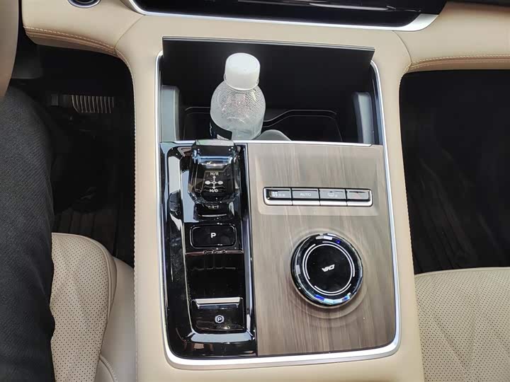 Photo 7 - Geely Monjaro