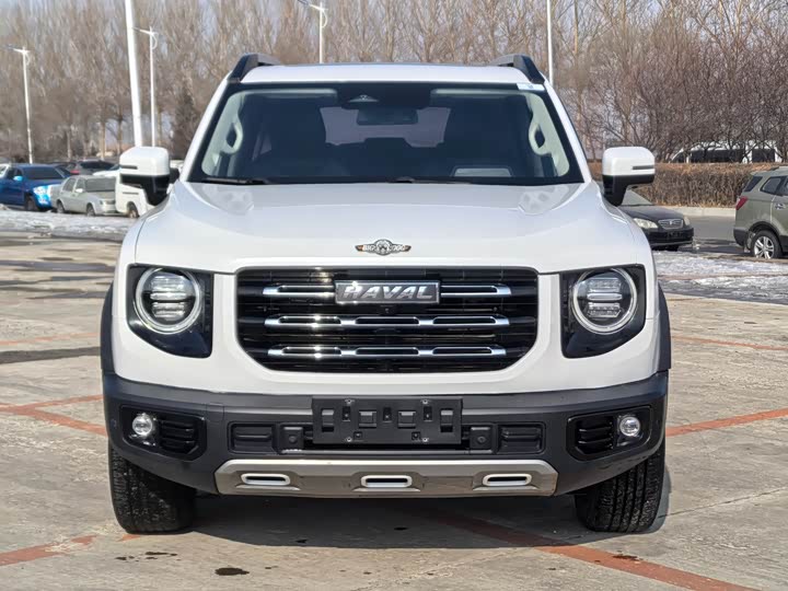 Фото 2 - Haval Dargo