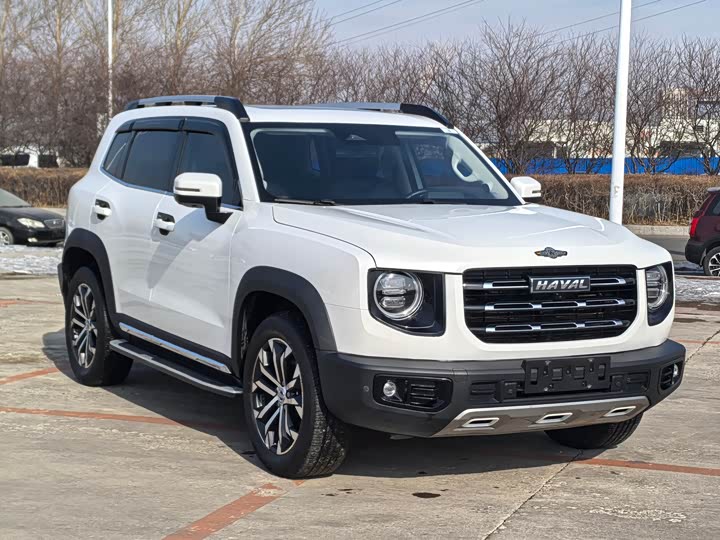 Фото 3 - Haval Dargo