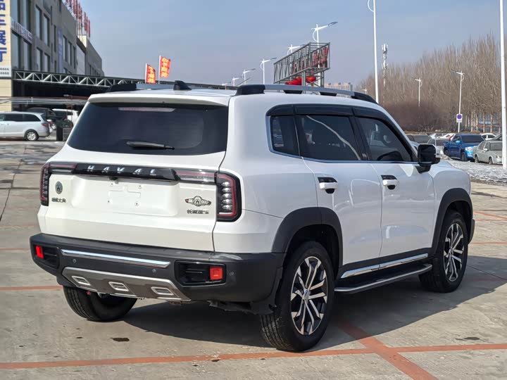 Фото 6 - Haval Dargo