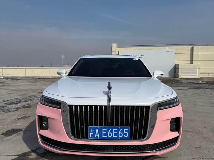 Фото 2 - Hongqi H9