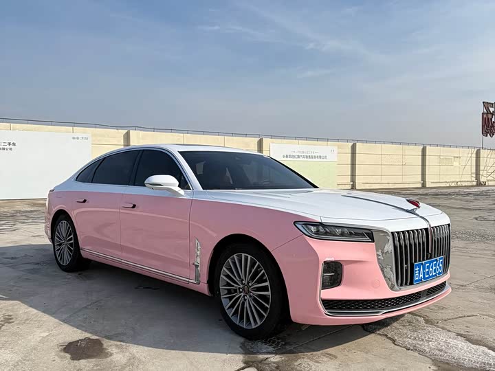 Фото 3 - Hongqi H9