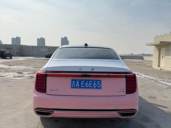 Фото 9 - Hongqi H9