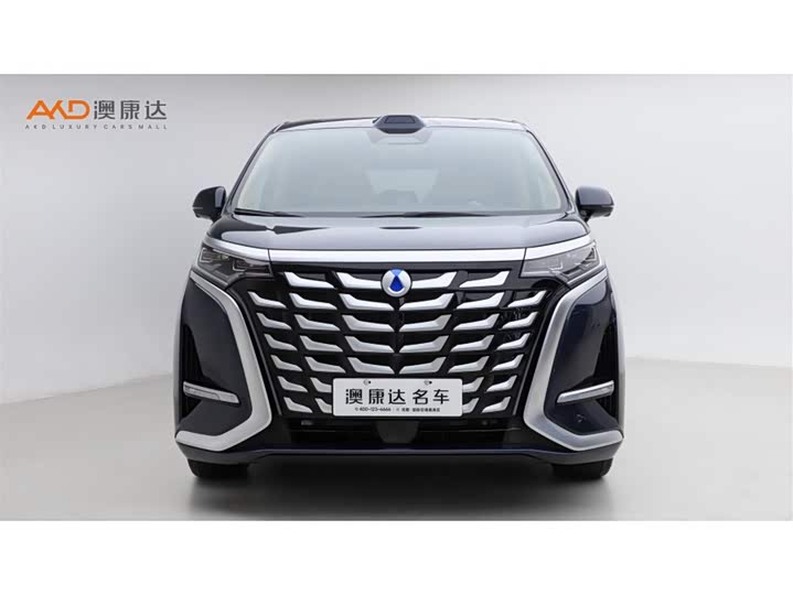 Фото 2 - Denza D9