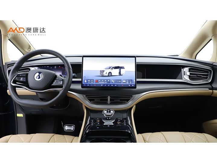 Фото 5 - Denza D9