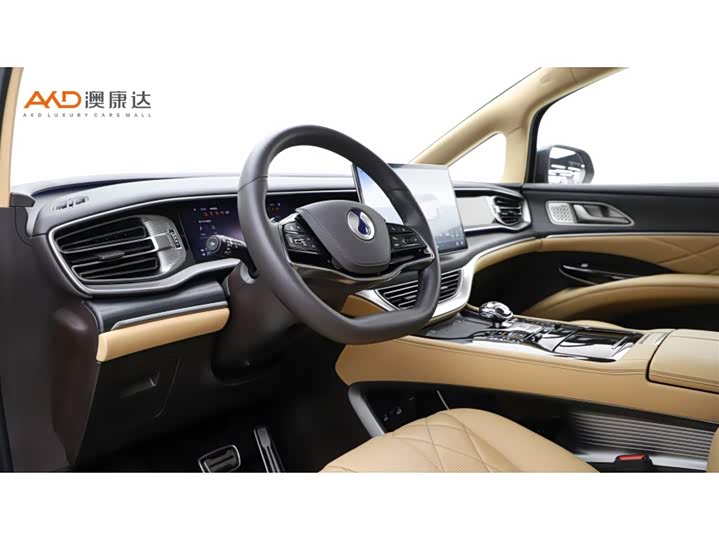 Фото 6 - Denza D9