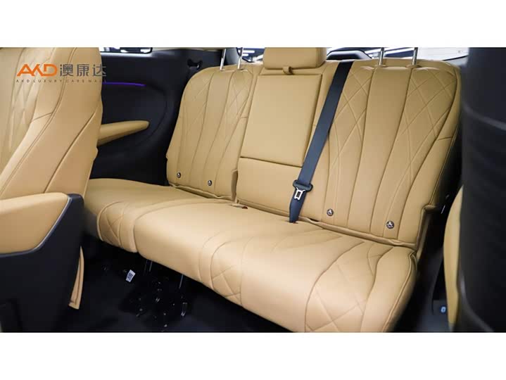 Фото 9 - Denza D9