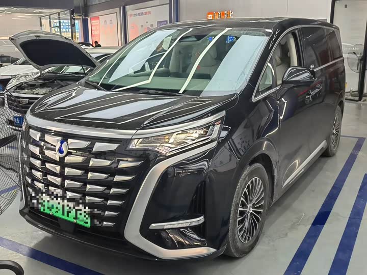 Фото 1 - Denza D9