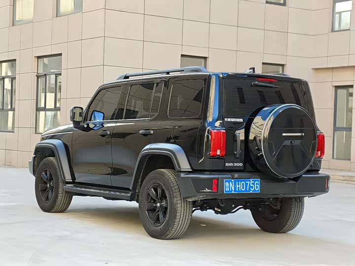 Фото 7 - Tank 300