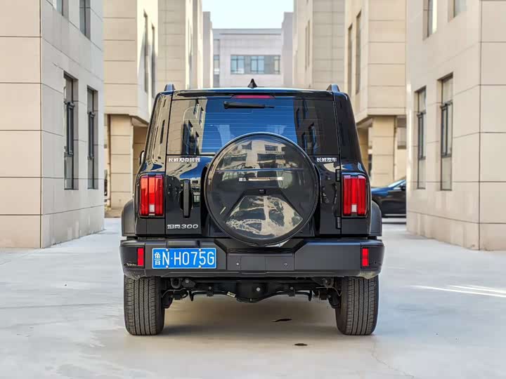 Фото 8 - Tank 300