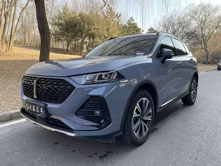 Фото 1 - Wey Latte DHT