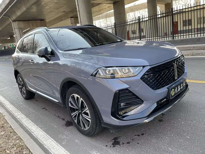 Фото 3 - Wey Latte DHT