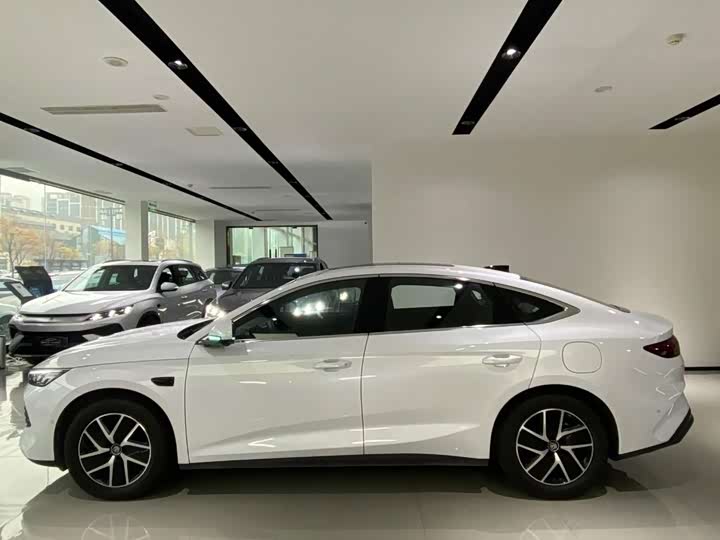 Фото 3 - BYD Qin L