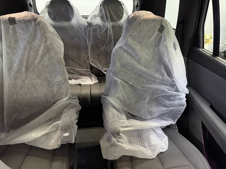 Фото 9 - Denza N8L