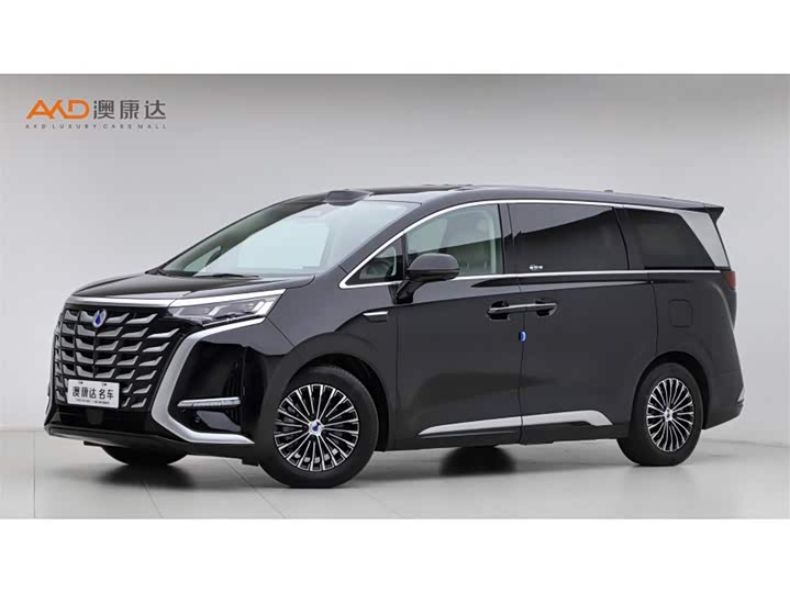 Фото 1 - Denza D9