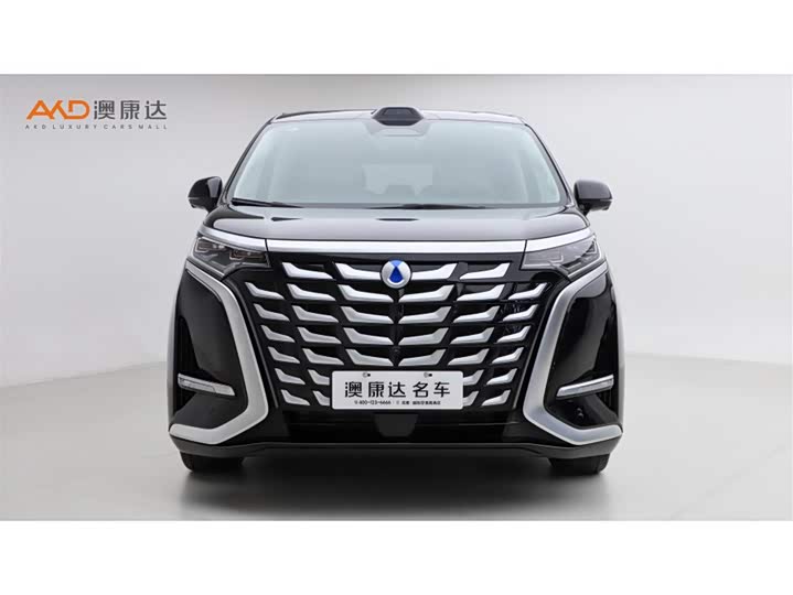 Фото 2 - Denza D9