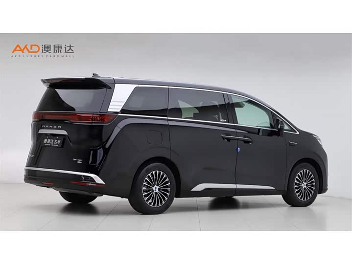 Фото 3 - Denza D9