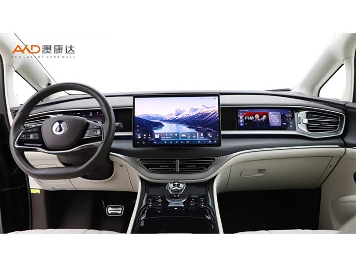 Фото 5 - Denza D9