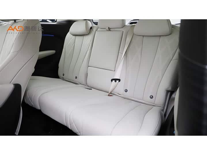 Фото 9 - Denza D9