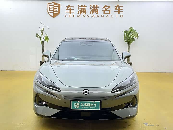 Фото 2 - Denza Z9GT