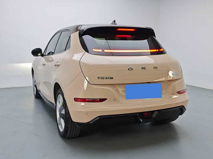 Фото 5 - Ora Good Cat (03)