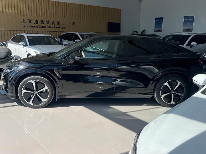 Фото 2 - BYD Song L