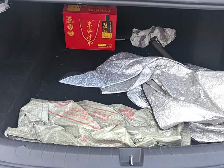 Фото 4 - BYD Qin Plus