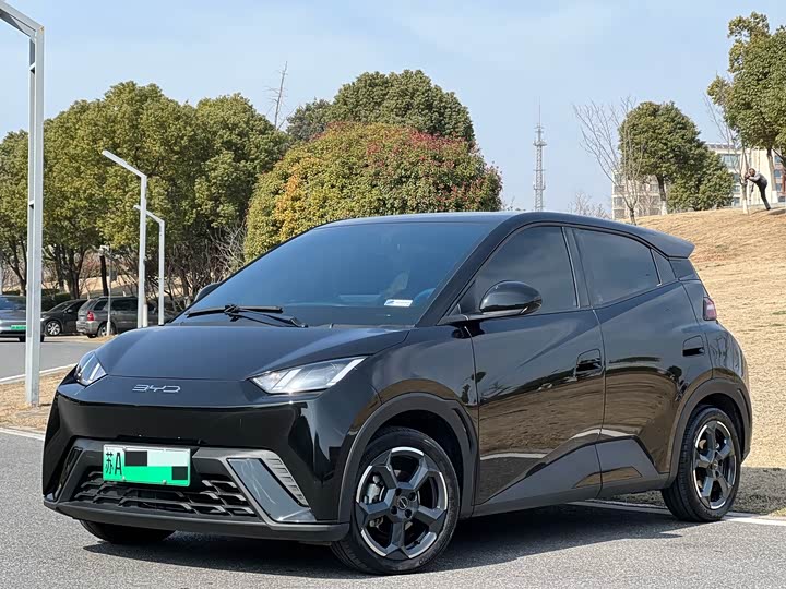 Фото 1 - BYD Seagull