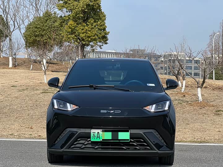 Фото 2 - BYD Seagull