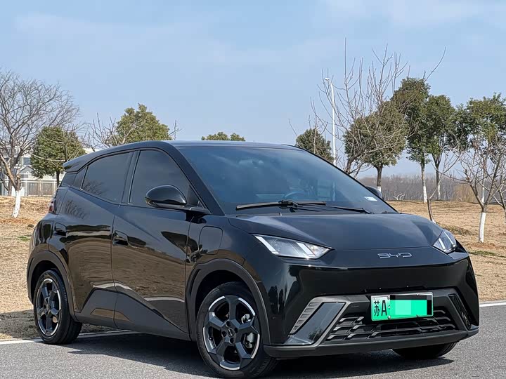 Фото 3 - BYD Seagull