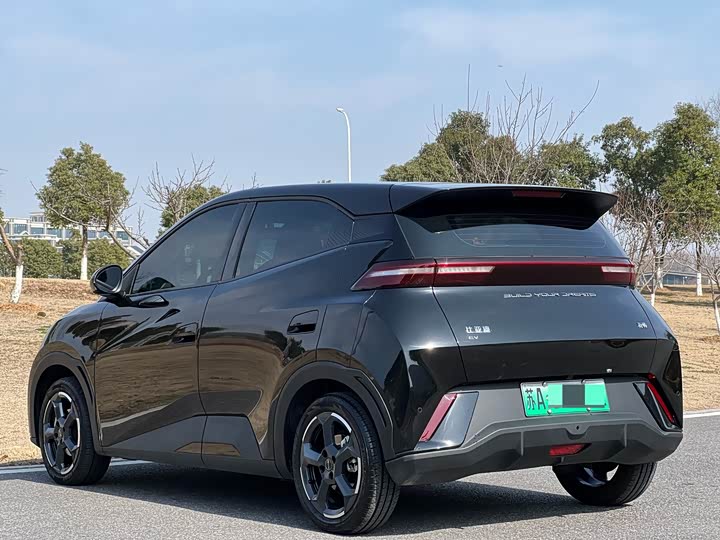 Фото 7 - BYD Seagull