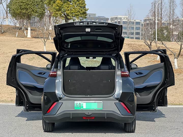 Фото 8 - BYD Seagull