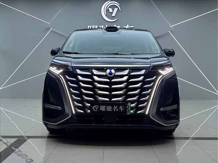 Фото 2 - Denza D9