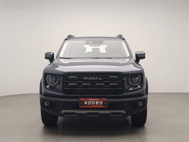 Фото 3 - Haval Dargo