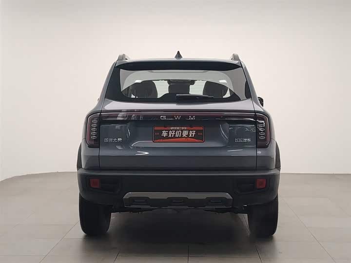 Фото 4 - Haval Dargo