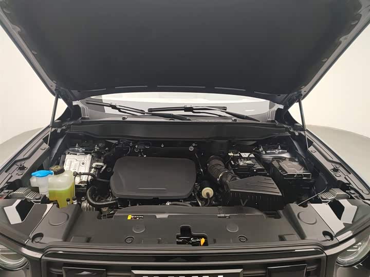 Фото 6 - Haval Dargo