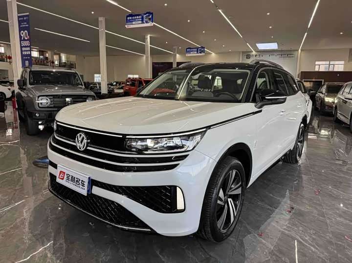 Фото 5 - Volkswagen Tavendor