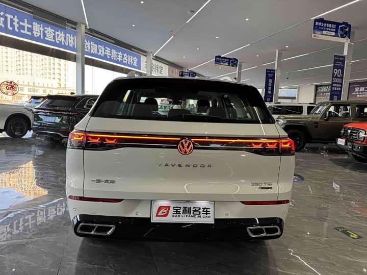 Фото 7 - Volkswagen Tavendor