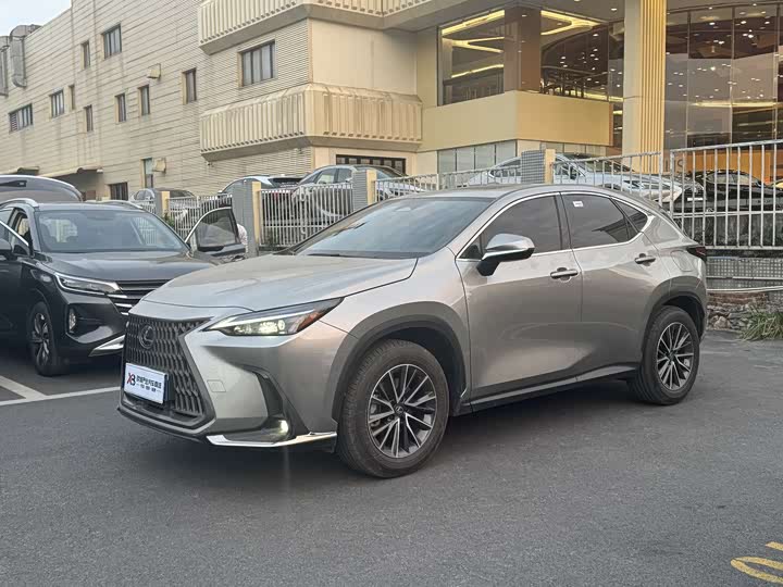 Фото 1 - Lexus NX