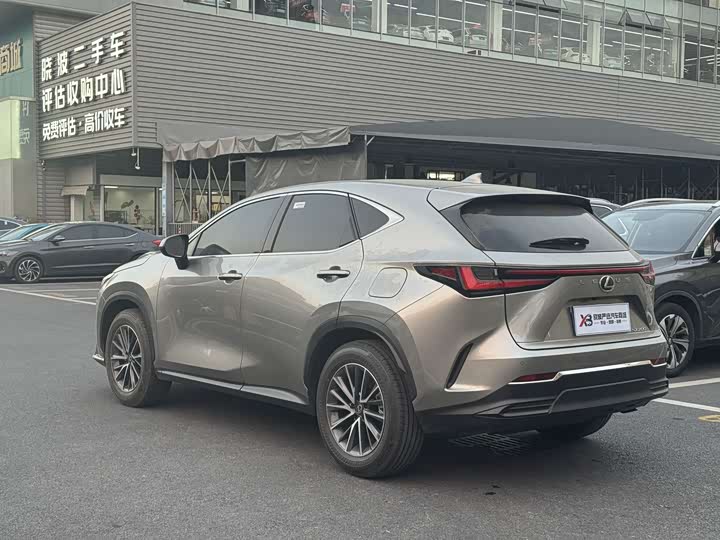 Фото 6 - Lexus NX