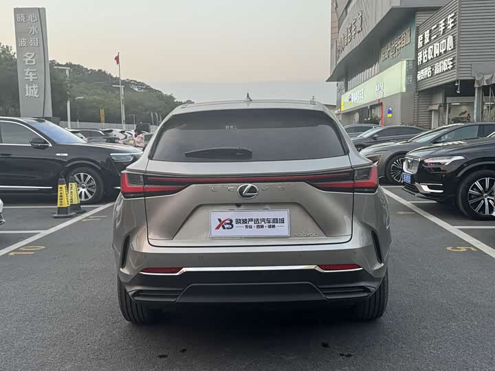 Фото 7 - Lexus NX