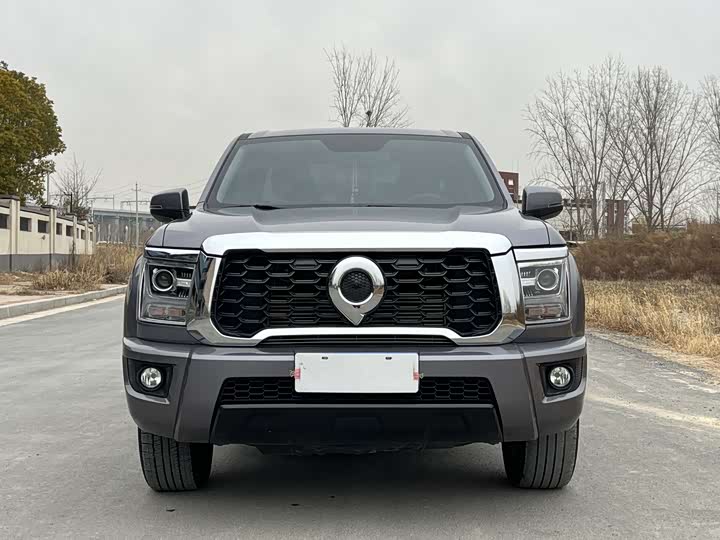 Фото 2 - Great Wall King Kong Poer